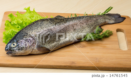 Raw fresh trout Raw fresh trout 14761545