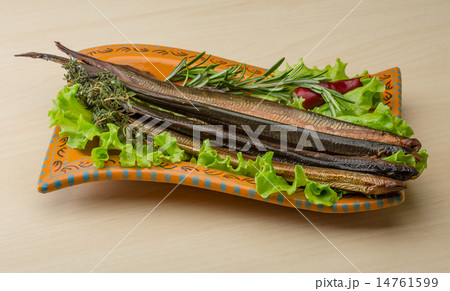 Lamprey 14761599