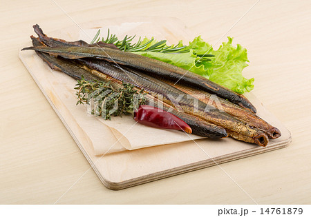 Lamprey Lamprey 14761879