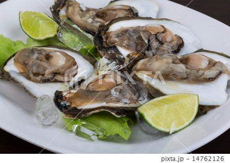 Fresh oyster Fresh oyster 14762126