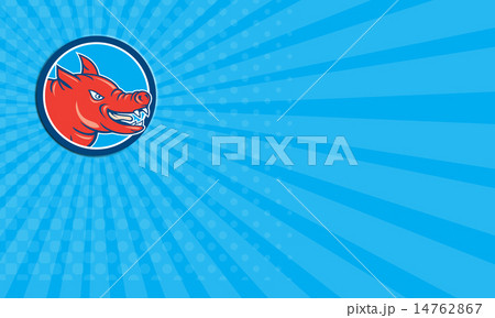 Business card Angry Pig Head Circle Cartoon 14762867