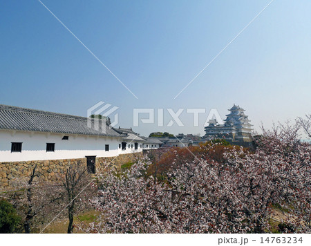 春の姫路城 大天守と百間廊下 春の姫路城 大天守と百間廊下 14763234