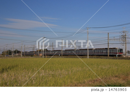 東武日光線の電車 14763903