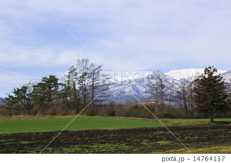 宮城県から見た蔵王008 14764137