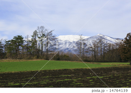 宮城県から見た蔵王010 14764139