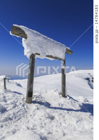 蔵王大黒天007 14764183