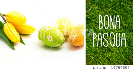 Composite image of bona pasqua Composite image of bona pasqua 14764602