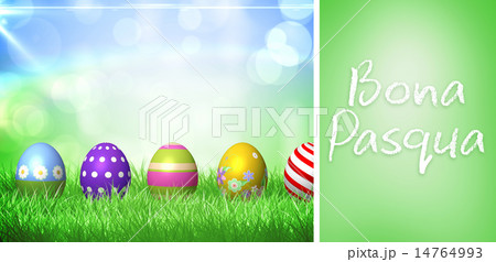 Composite image of bona pasqua 14764993