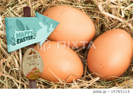 Composite image of easter egg hunt sign 14765113