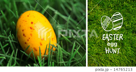 Composite image of easter egg hunt graphic 14765213