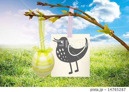 Composite image of chick Composite image of chick 14765287