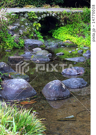 八景水谷公園の風景 14770038