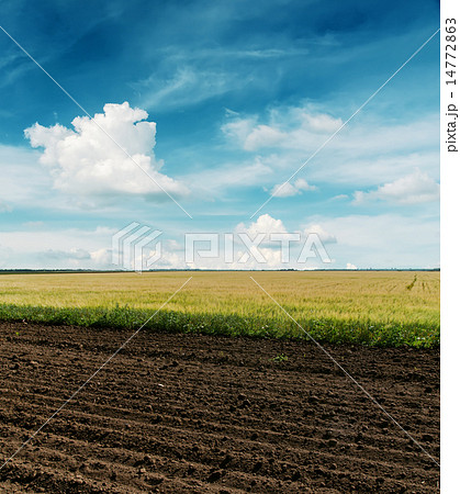 black plowed and green fields under cloudy sky black plowed and green fields under cloudy sky 14772863