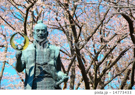 浜松城公園 徳川家康像の春 浜松城公園 徳川家康像の春 14773433