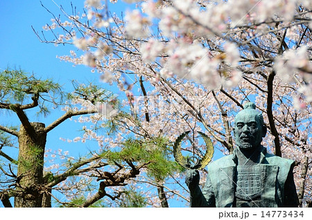 浜松城公園 徳川家康像の春 浜松城公園 徳川家康像の春 14773434