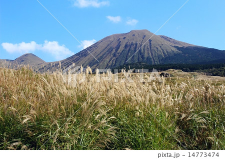 阿蘇　杵島岳とススキ 14773474