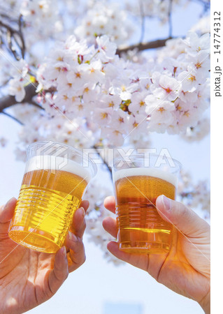 桜と乾杯 桜と乾杯 14774312