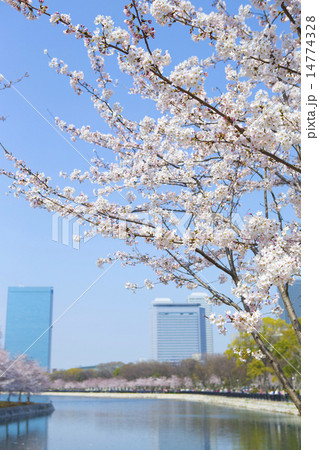 サクラの風景 14774328