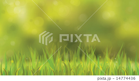 Vector sunny spring background with grass. 14774436