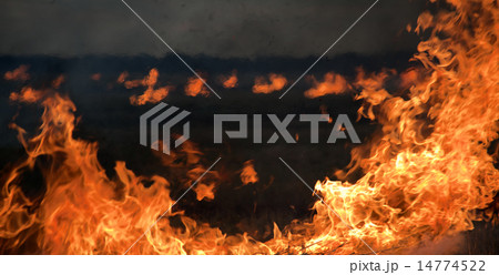 fire at night 14774522