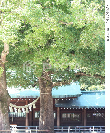 明治神宮 明治神宮 14774627