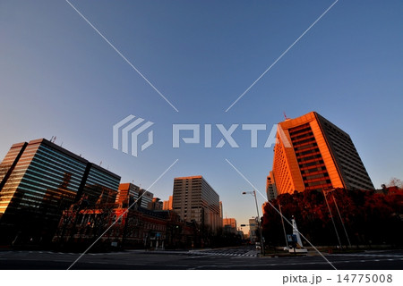 東京の夜明け ~霞ヶ関~ 東京の夜明け ~霞ヶ関~ 14775008