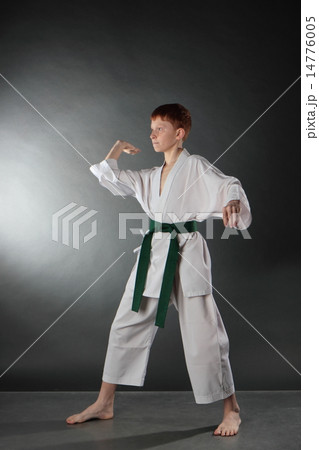 Karate in the attack. 14776005
