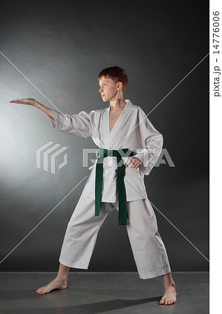 Karate in the attack. 14776006