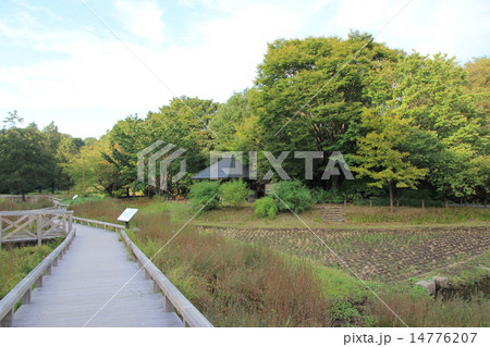 都立神代植物公園分園 14776207