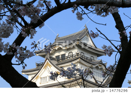 岸和田城 岸和田城 14776296