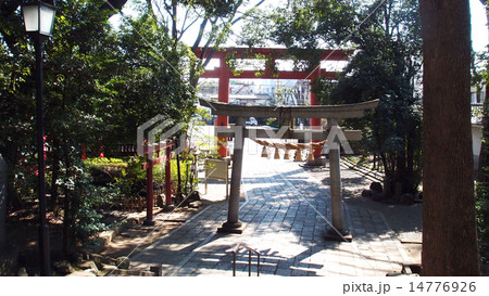 世田谷八幡宮の鳥居 世田谷八幡宮の鳥居 14776926