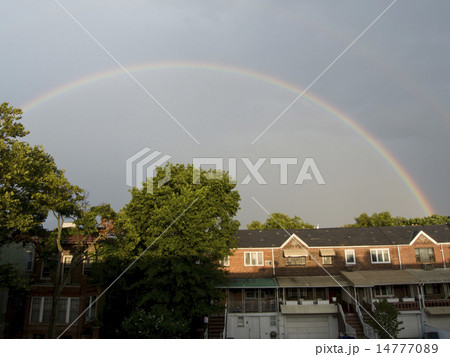 ニューヨークの虹 14777089