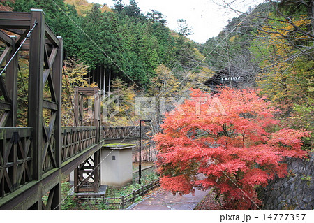 檜原都民の森 檜原都民の森 14777357