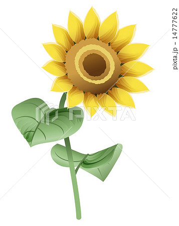 A Little Retro Sunflower Right Oblique Upper Stock Illustration
