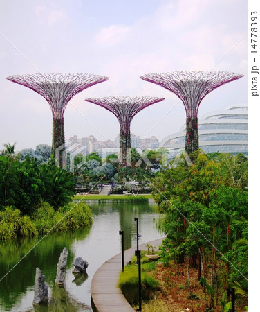 Garden By The Bay Trees 14778393
