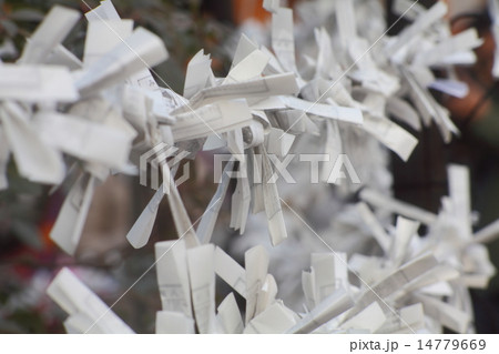 東京都調布市 深大寺 おみくじ 東京都調布市 深大寺 おみくじ 14779669