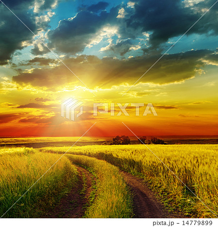 sunset over rural road near green field sunset over rural road near green field 14779899