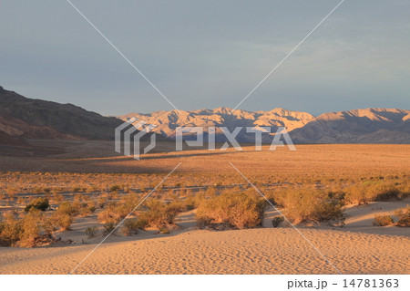 早朝のデスバレー国立公園 早朝のデスバレー国立公園 14781363