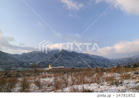 西条市丹原冬景色 西条市丹原冬景色 14781852