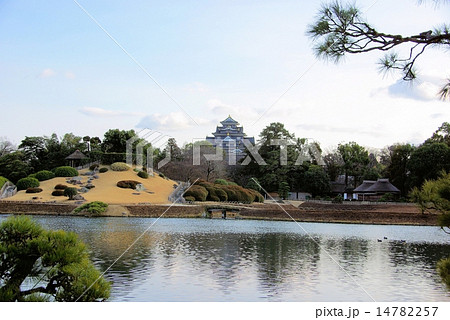 早春の岡山後楽園から岡山城を望む 早春の岡山後楽園から岡山城を望む 14782257