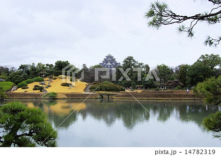 早春の岡山後楽園 14782319