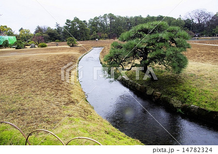 早春の岡山後楽園 14782324