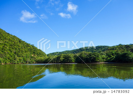 沖縄県　西表島　浦内川 14783092