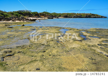 沖縄県　西表島　星砂の浜 14783241