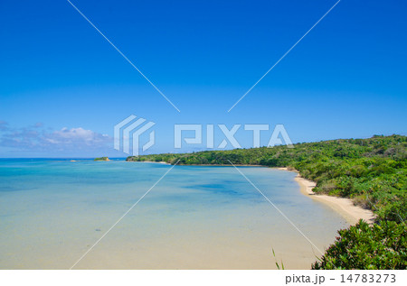 沖縄県 西表島 大見謝ロードパーク 展望台からの景色 沖縄県 西表島 大見謝ロードパーク 展望台からの景色 14783273