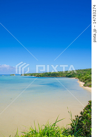 沖縄県　西表島　大見謝ロードパーク　展望台からの景色 14783274