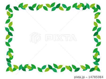 葉っぱ フレームのイラスト素材 14785064 Pixta