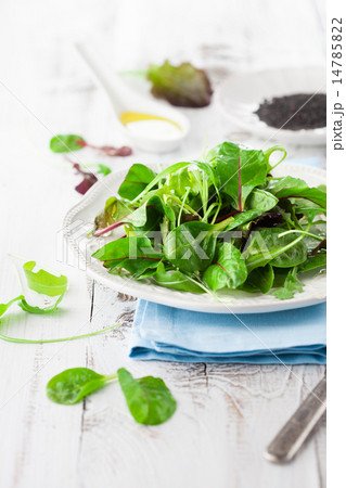 Fresh green salad Fresh green salad 14785822