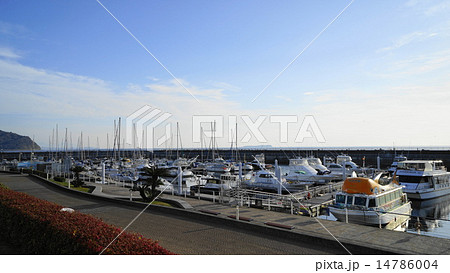 道の駅、伊東マリンタウンの港 道の駅、伊東マリンタウンの港 14786004