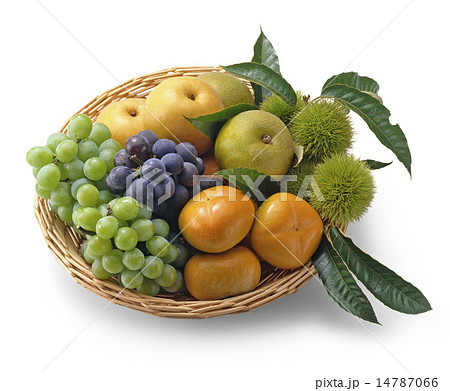 フルーツ集合 フルーツ集合 14787066